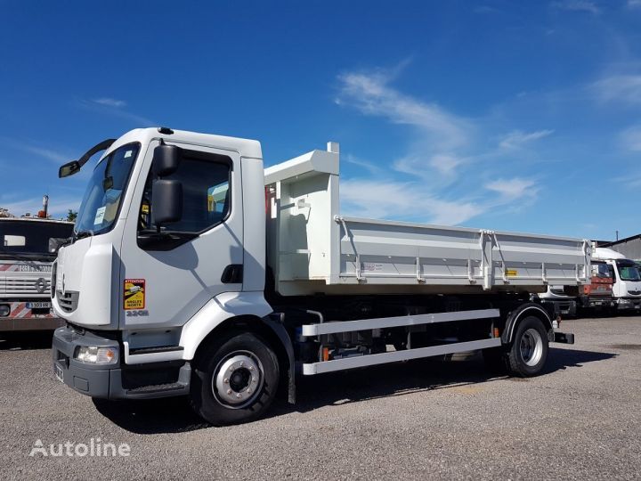 крюковой мультилифт Renault Midlum 220dxi.13 DALBY SHM2 + BENNE